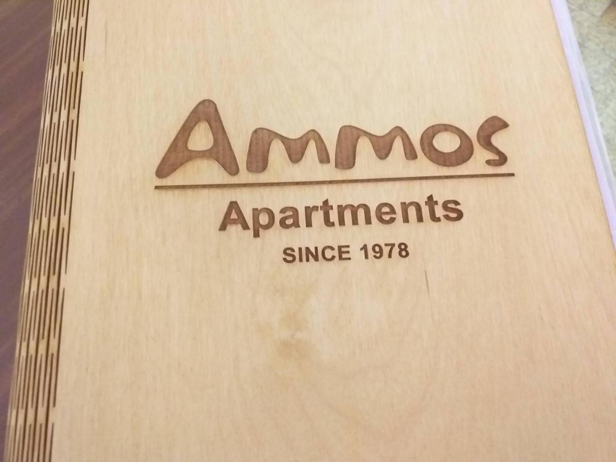 Ammos Apartments อายิโอสนิโกลาโอส ภายนอก รูปภาพ